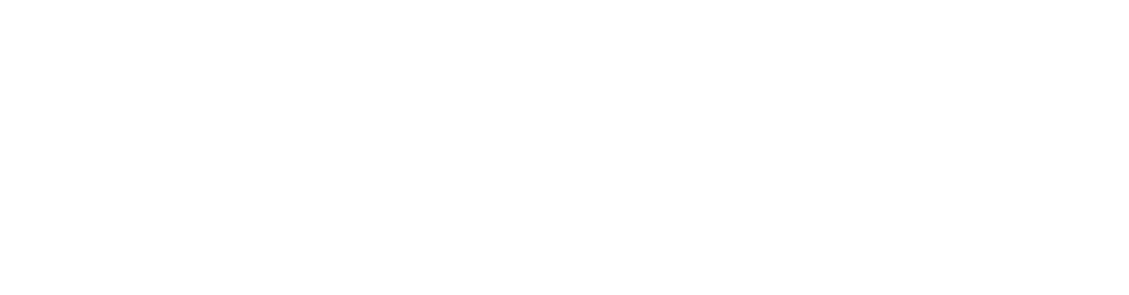 ES_Financiado_por_la_Unión_Europea_RGB_WHITE_Outline